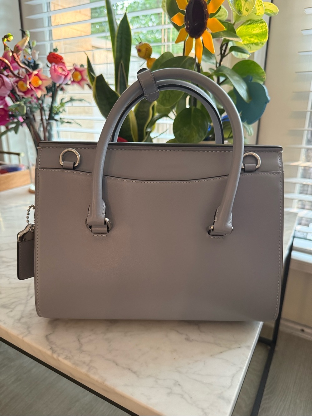 Coach Small Broome Carryall Bag - Picture 3 of 8